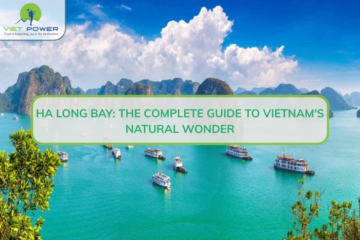 Ha Long Bay: The Complete Guide to Vietnam's Natural Wonder
