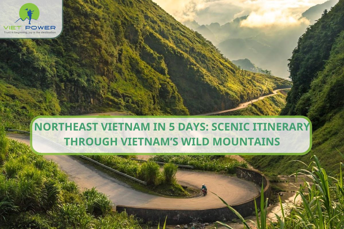 Northeast Vietnam in 5 Days: Scenic Itinerary to Vietnam Wild Mountain