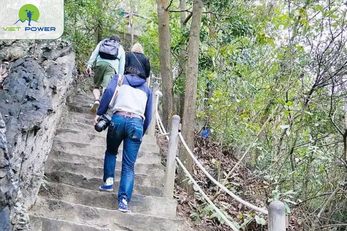 Climb to the top of Ti Top