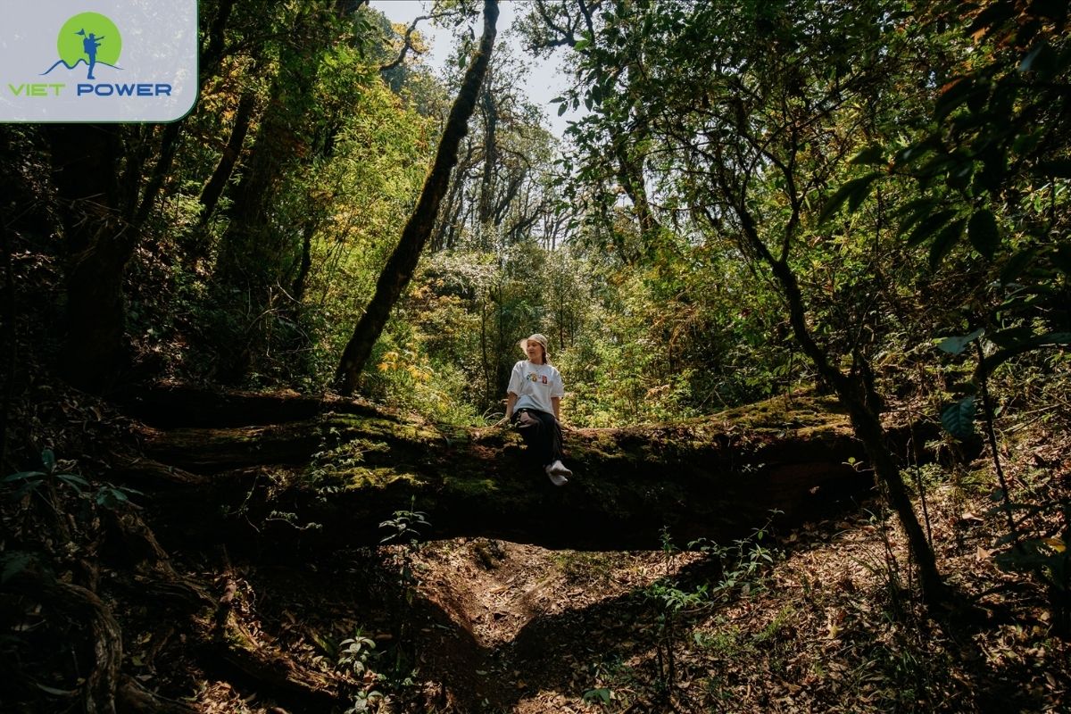 Tay Con Linh & Phja Oac