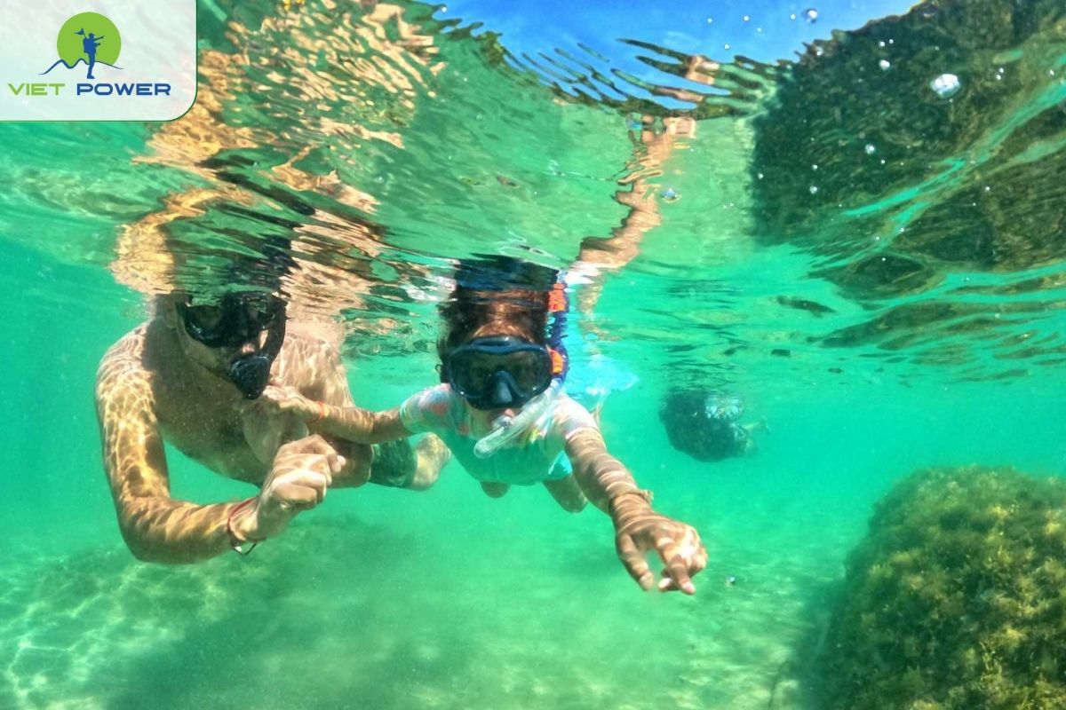 Snorkeling at Viet Hai area coral zones