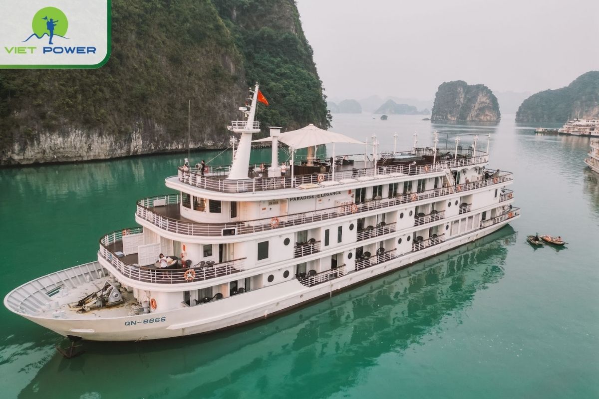 Paradise Elegance Cruise