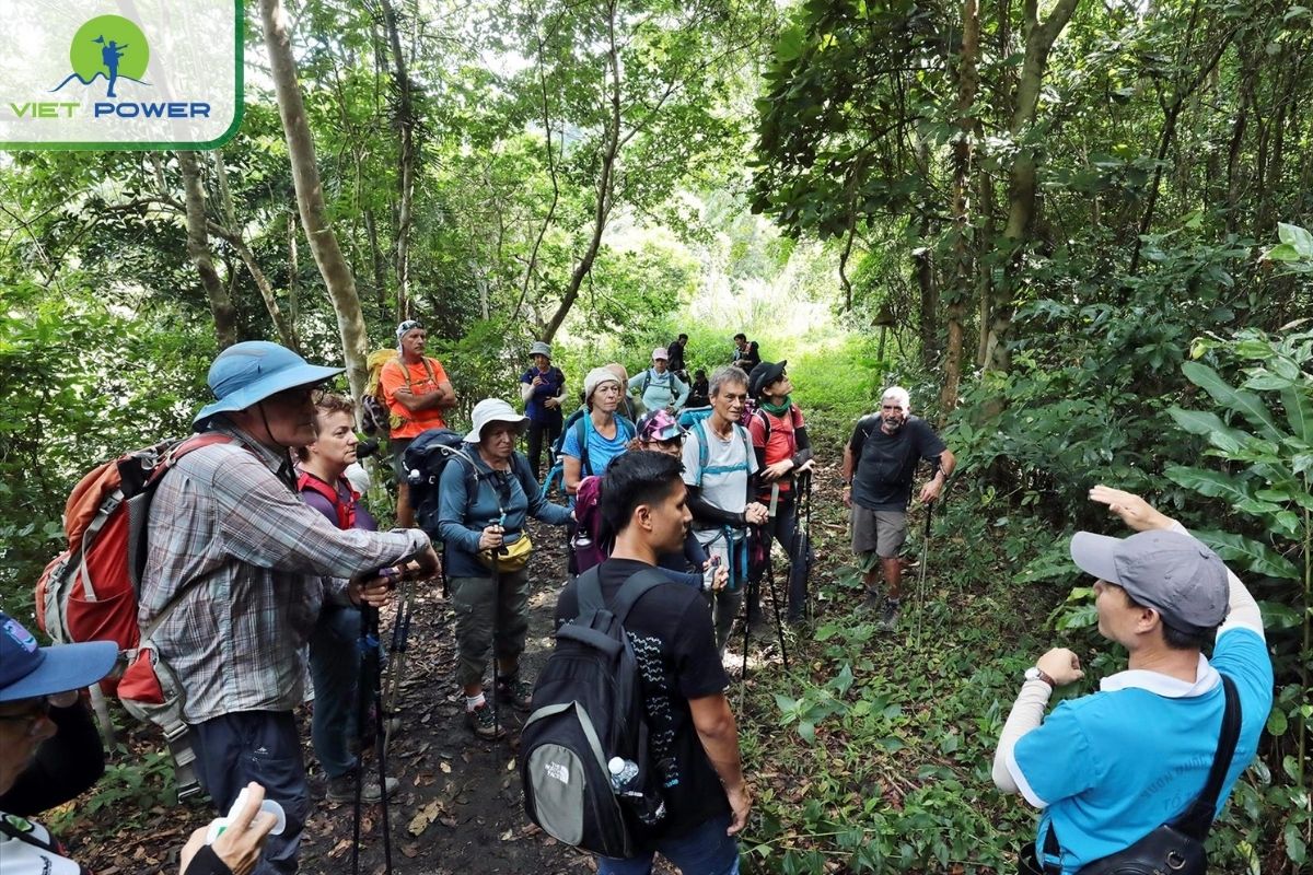 Explore Cat Ba National Park
