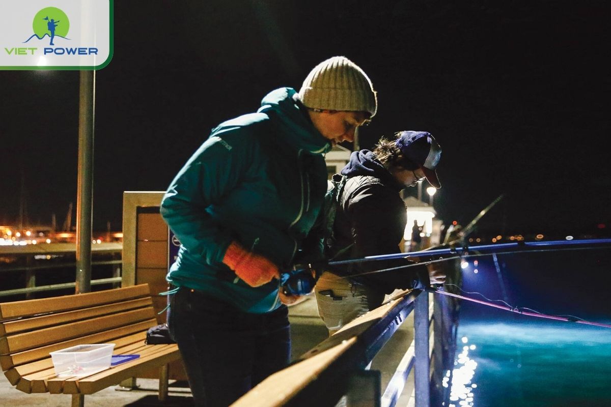 Local Squid Fishing Boats