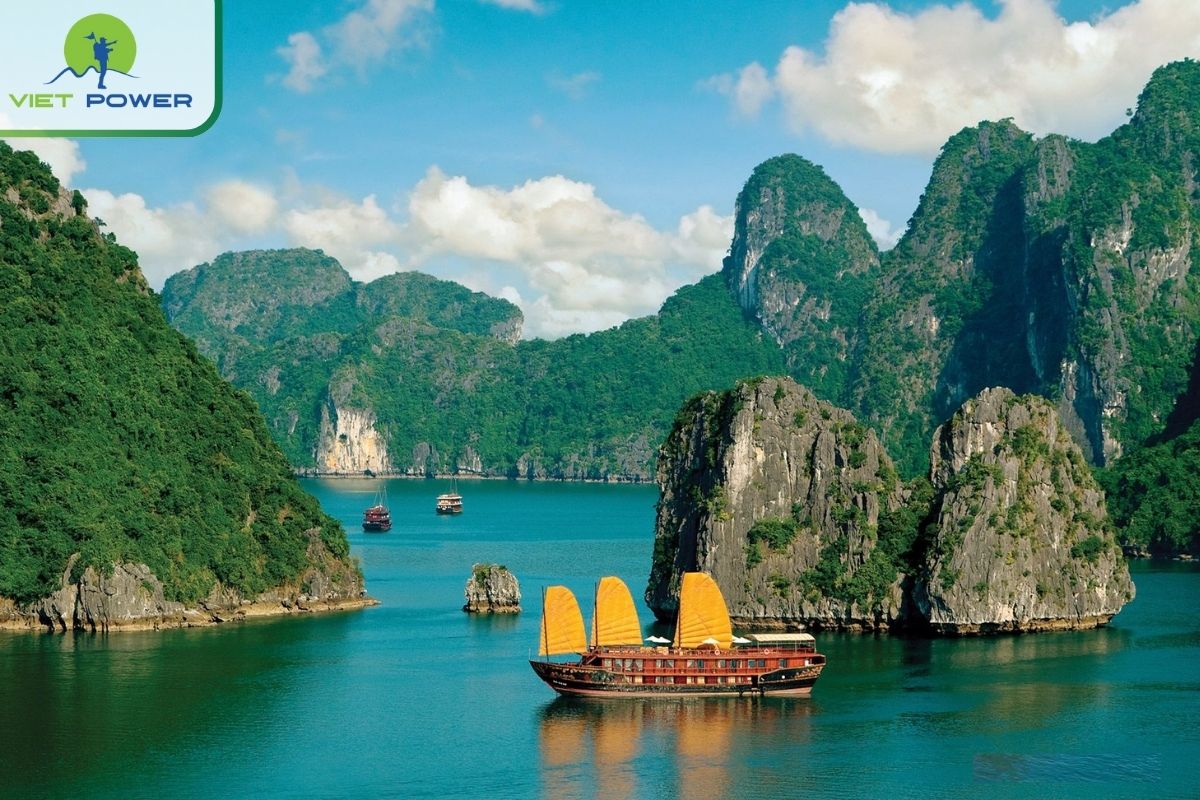 Scenic Cruising in Bai Tu Long Bay