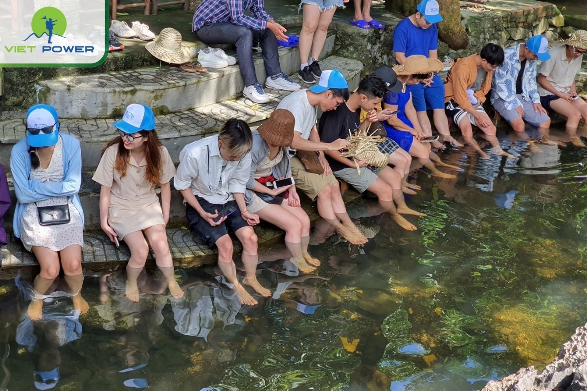 Experience fish massage in Viet Hai village