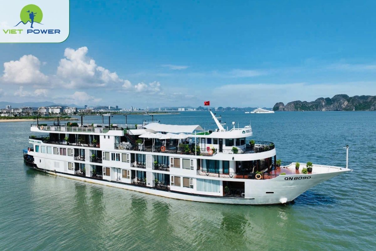 Verdure Lotus Grandeur Cruise