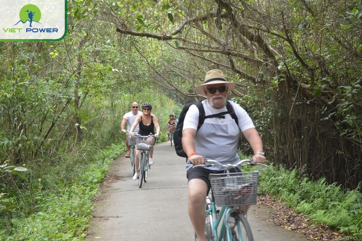 Cycling through lush jungle paths in Viet Hai village