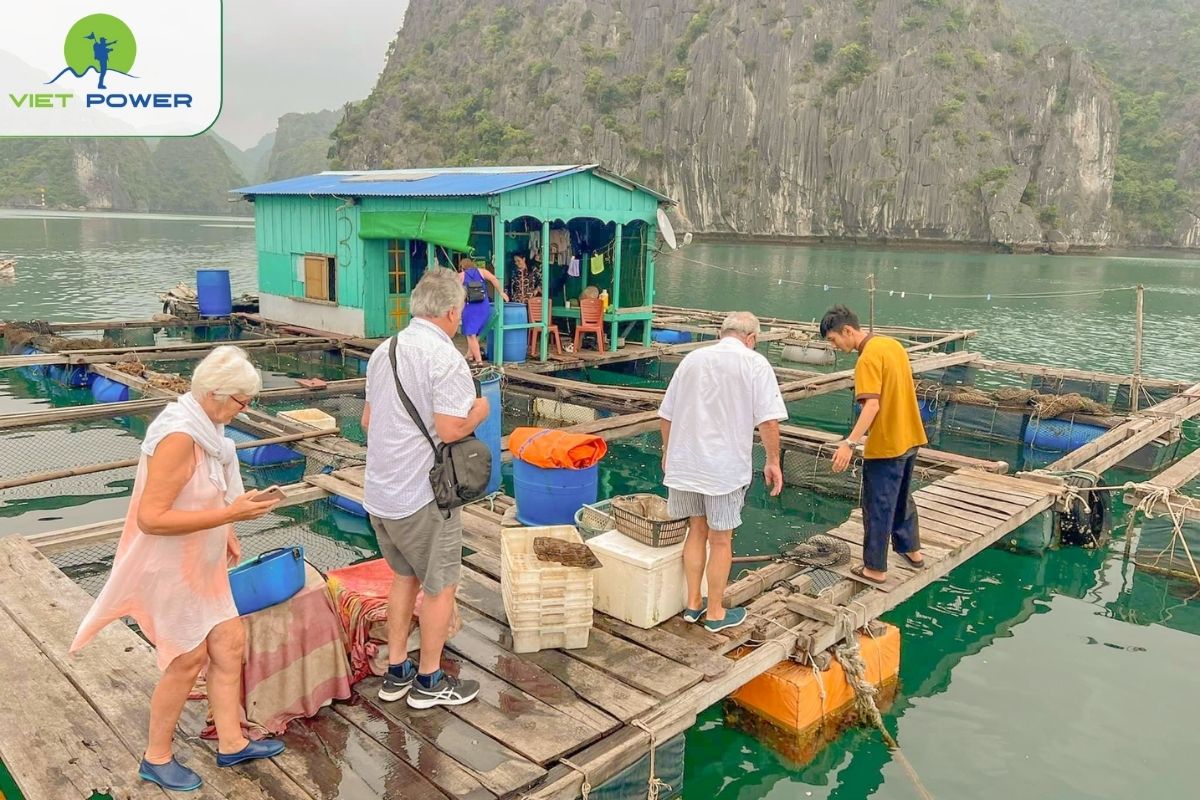 Visit Tra Báu fishing village