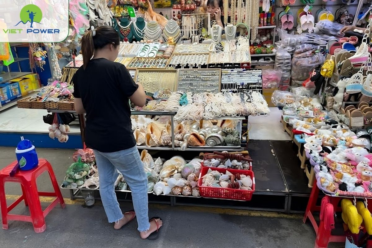 Seashell and Pearl Jewelry