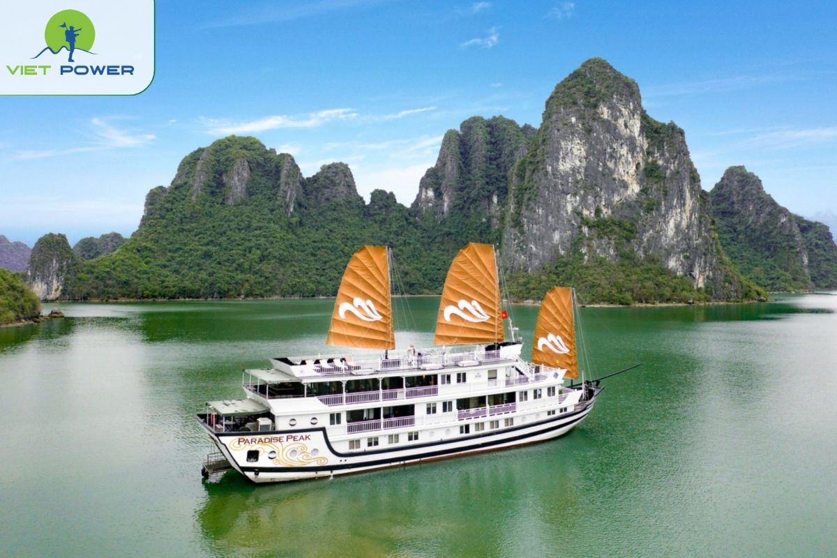 Paradise Peak Cruise