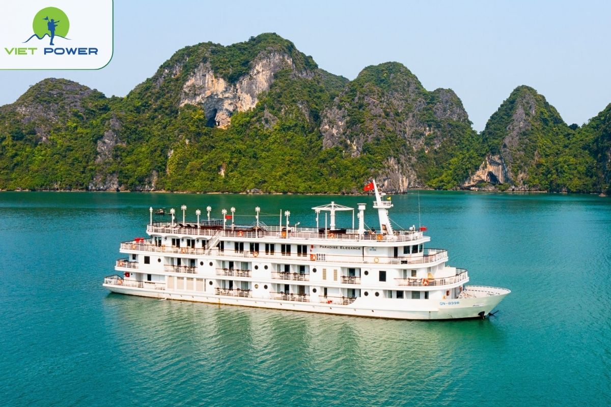 Paradise Elegance Cruise