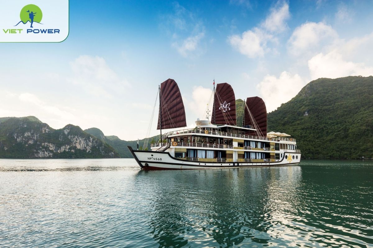 Orchid Classic Cruise