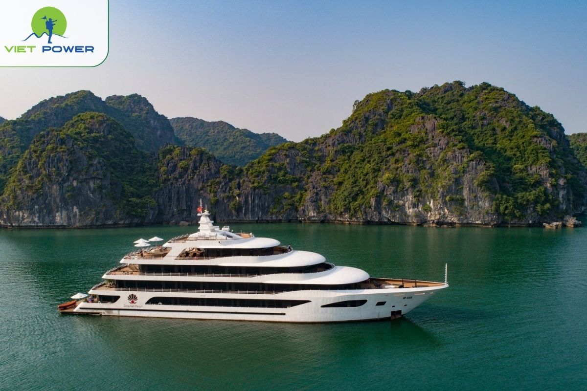 Scarlet Pearl Cruise