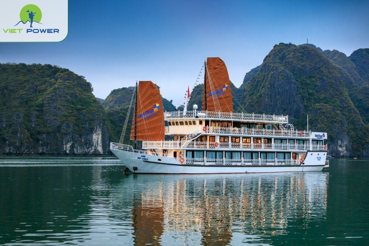 Vega Cruise