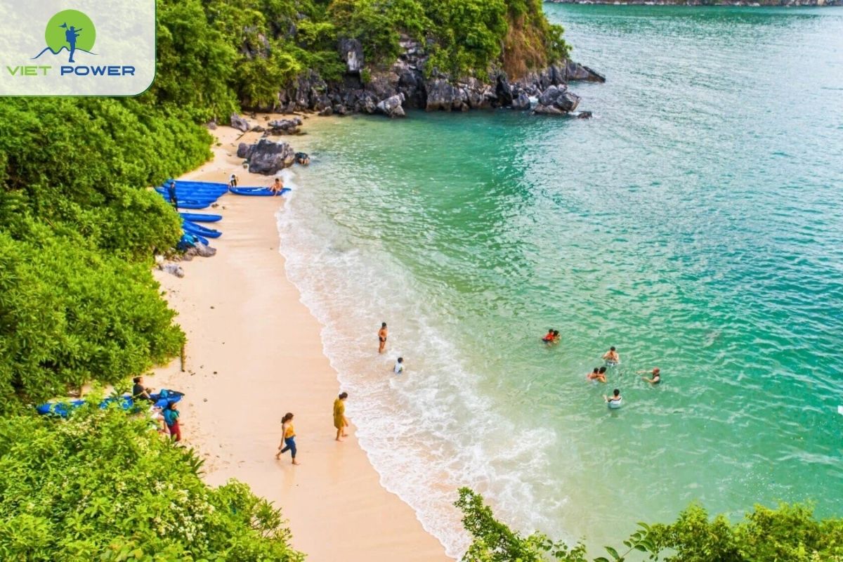 Titov Island swimming