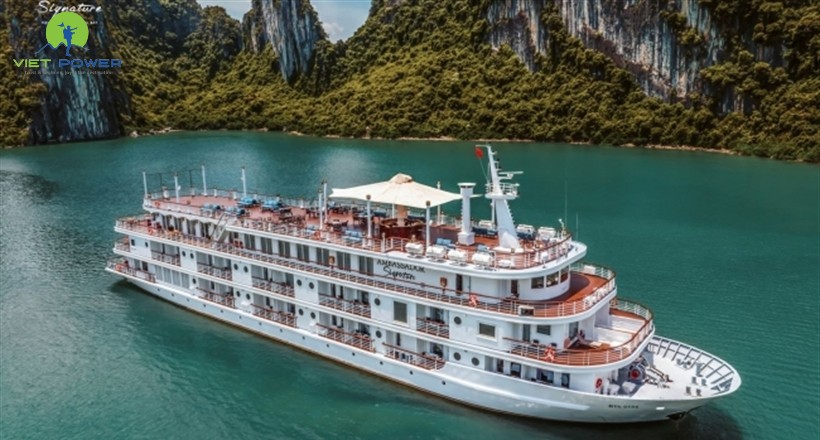 Ambassador Signature Cruise