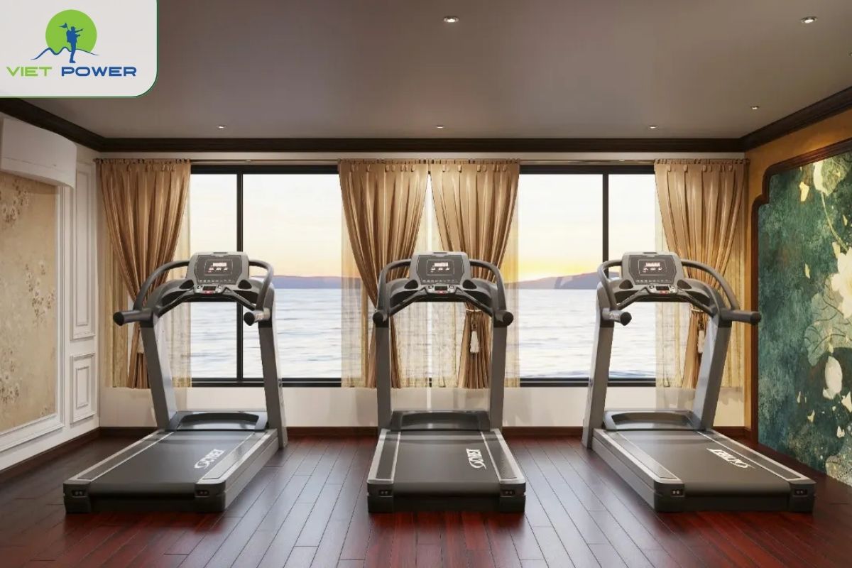 Modern Gym & Wellness Space