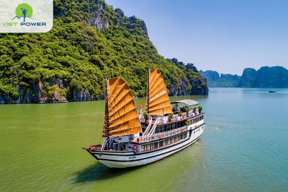 Classic Bai Tho Junk