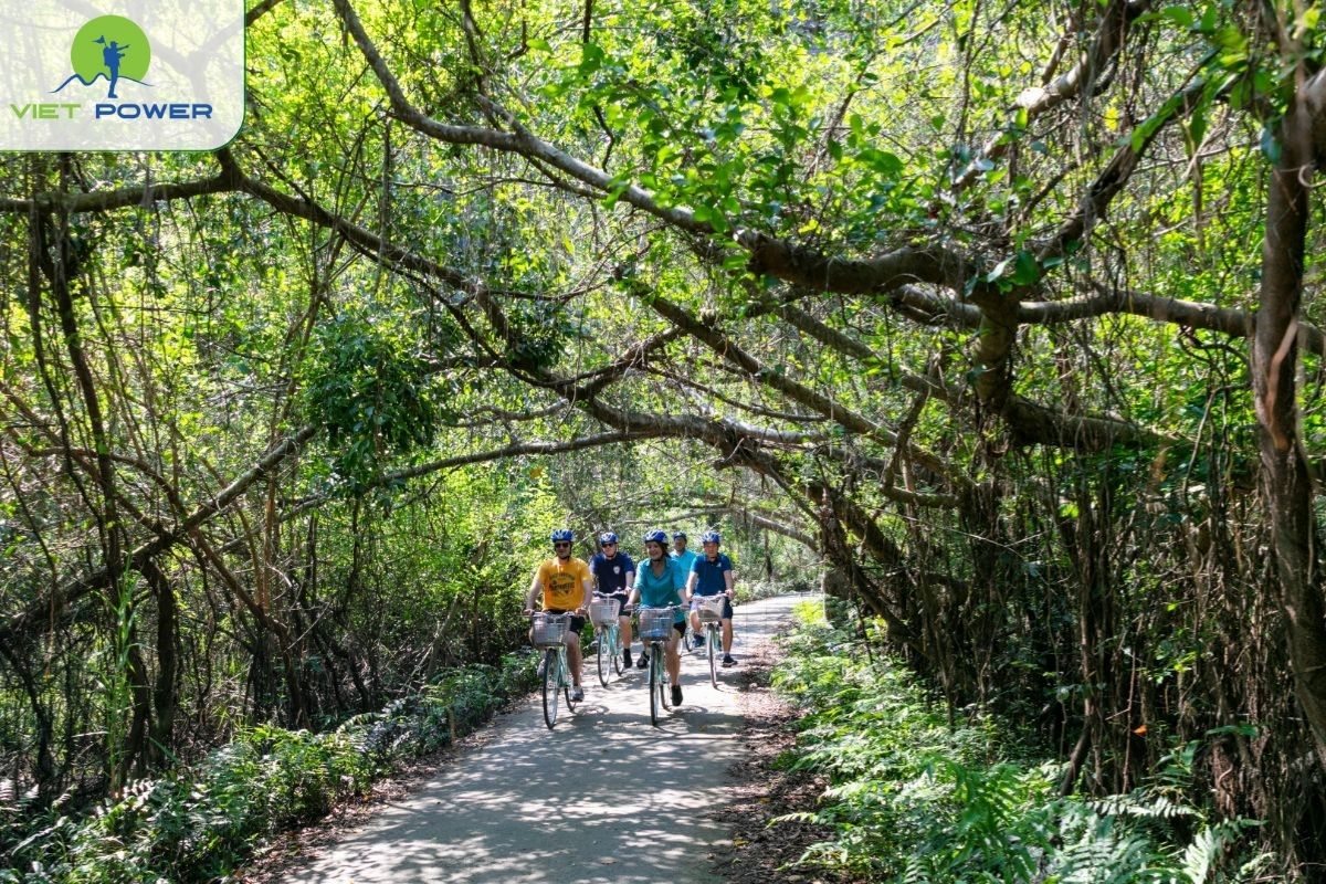 Cycle through green valleys
