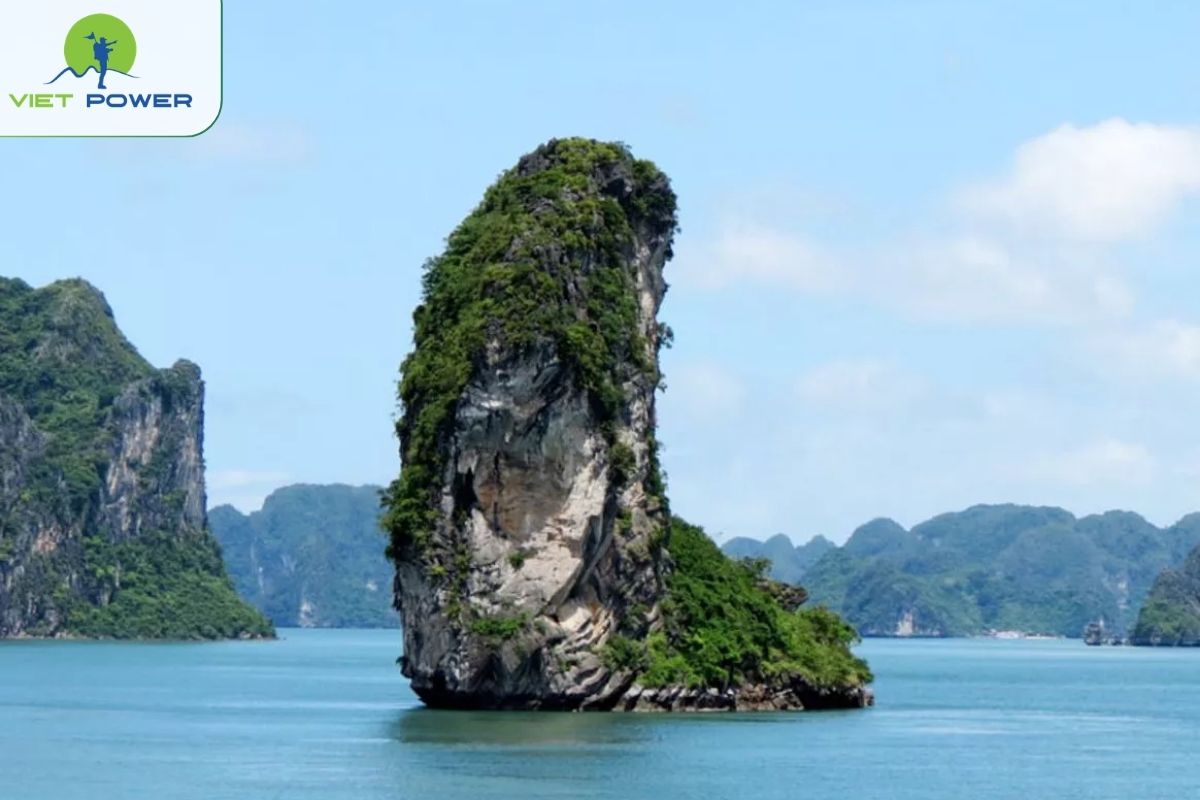 Finger Islet