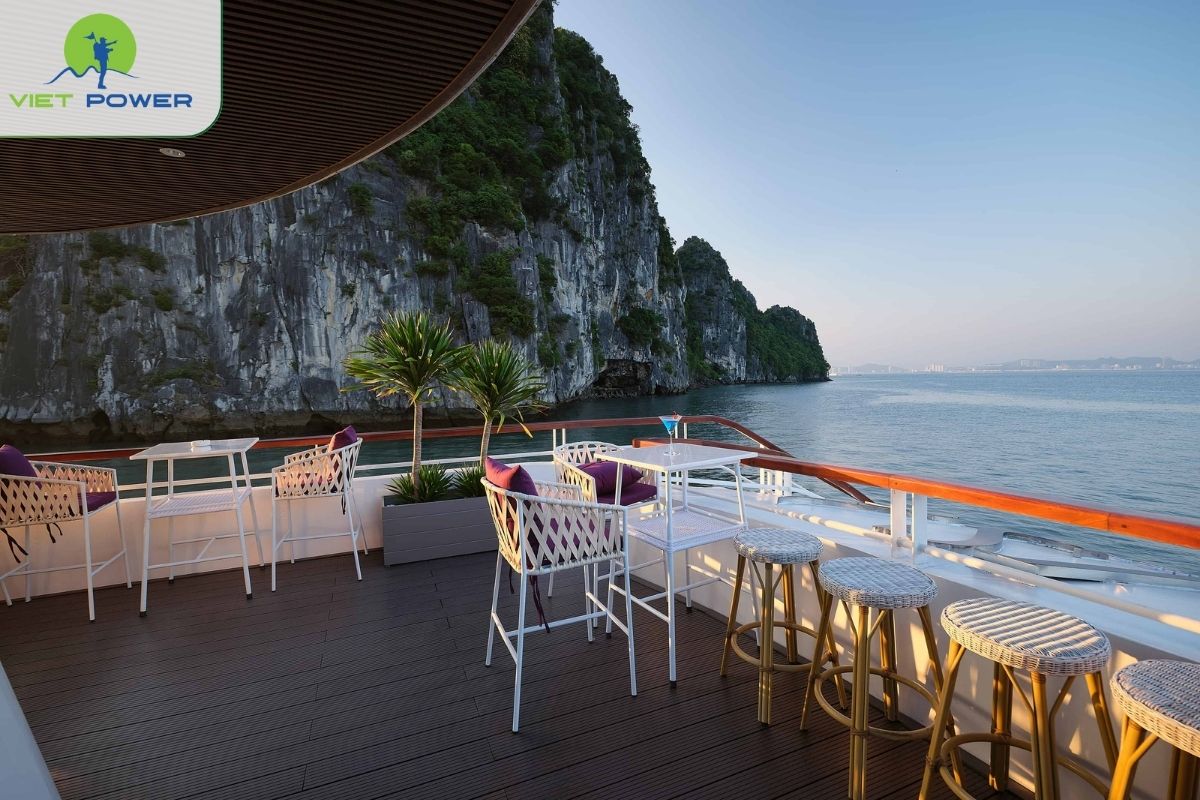 Drinks & Bar Ordering Basics