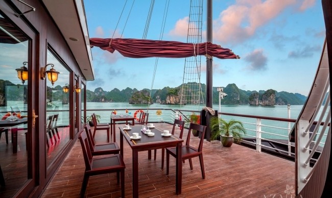 Orchid Trendy Cruise