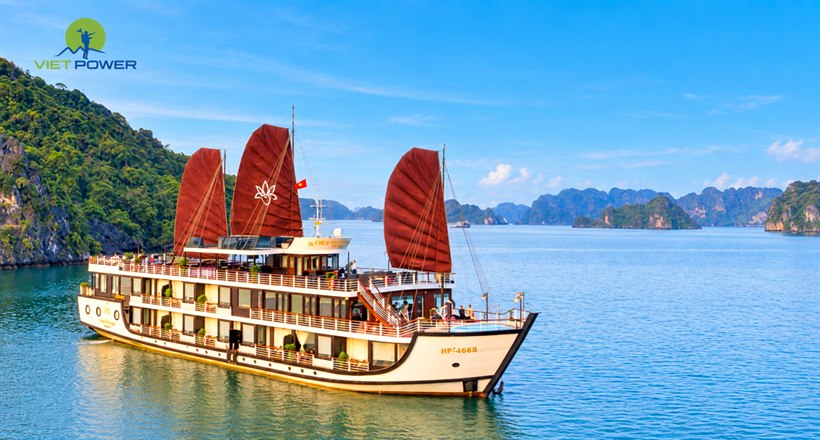 Orchid Trendy Cruise