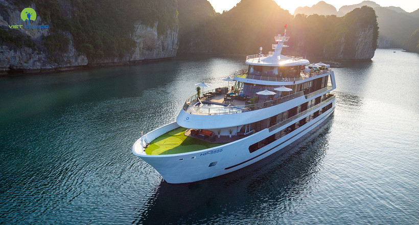 Stellar of the Seas Cruise