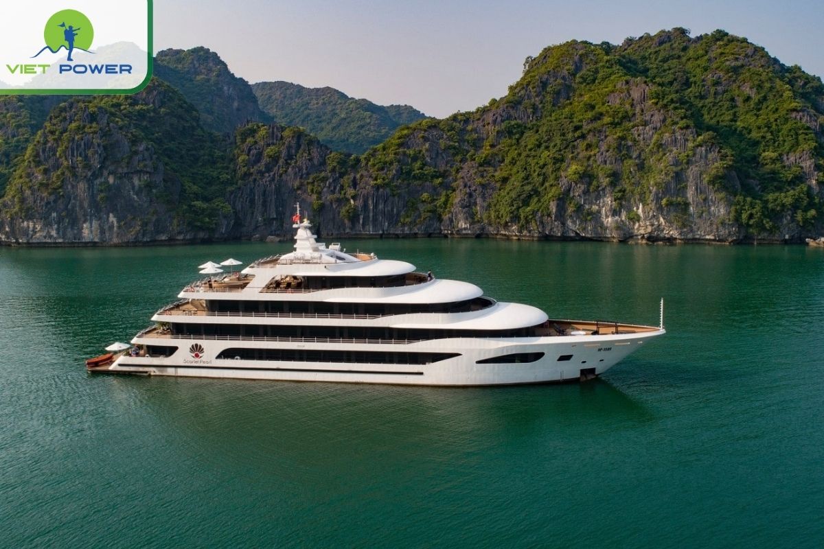 Scarlet Pearl Cruise