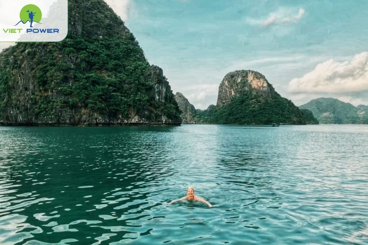 Swimming & relaxed cruising