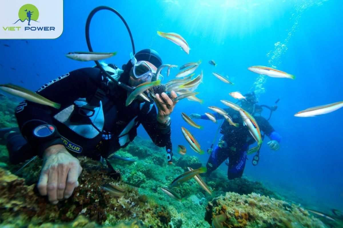 Snorkeling at Cam Ranh