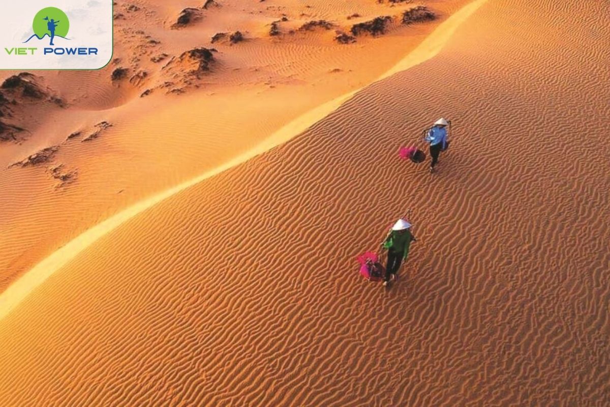 Red Sand Dunes