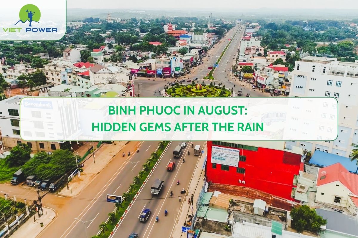 Binh Phuoc in August: Hidden Gems After the Rain