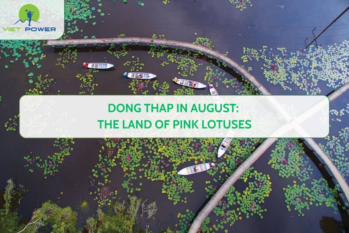 Dong Thap in August: The Land of Pink Lotuses