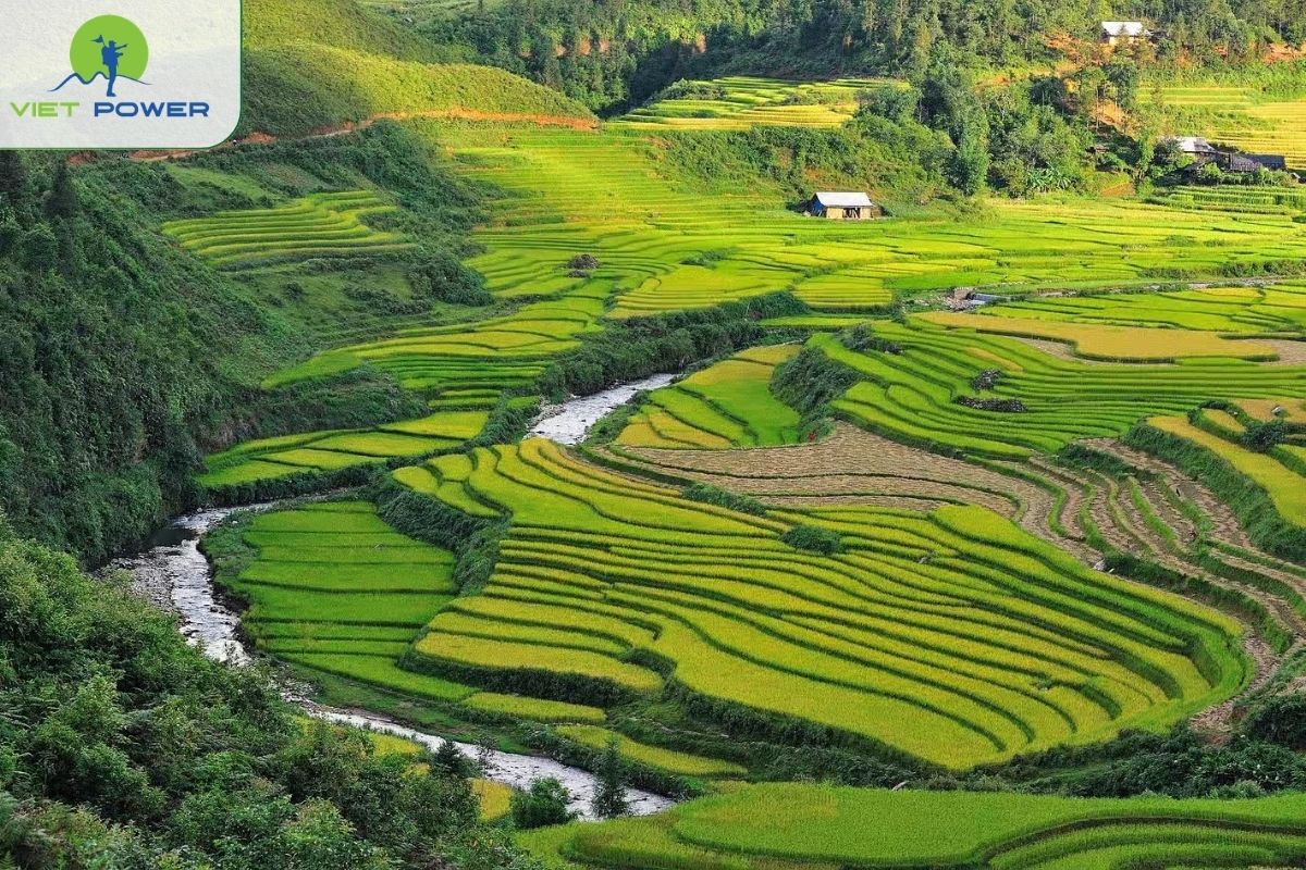 Is August a Good Time to Visit Vietnam
