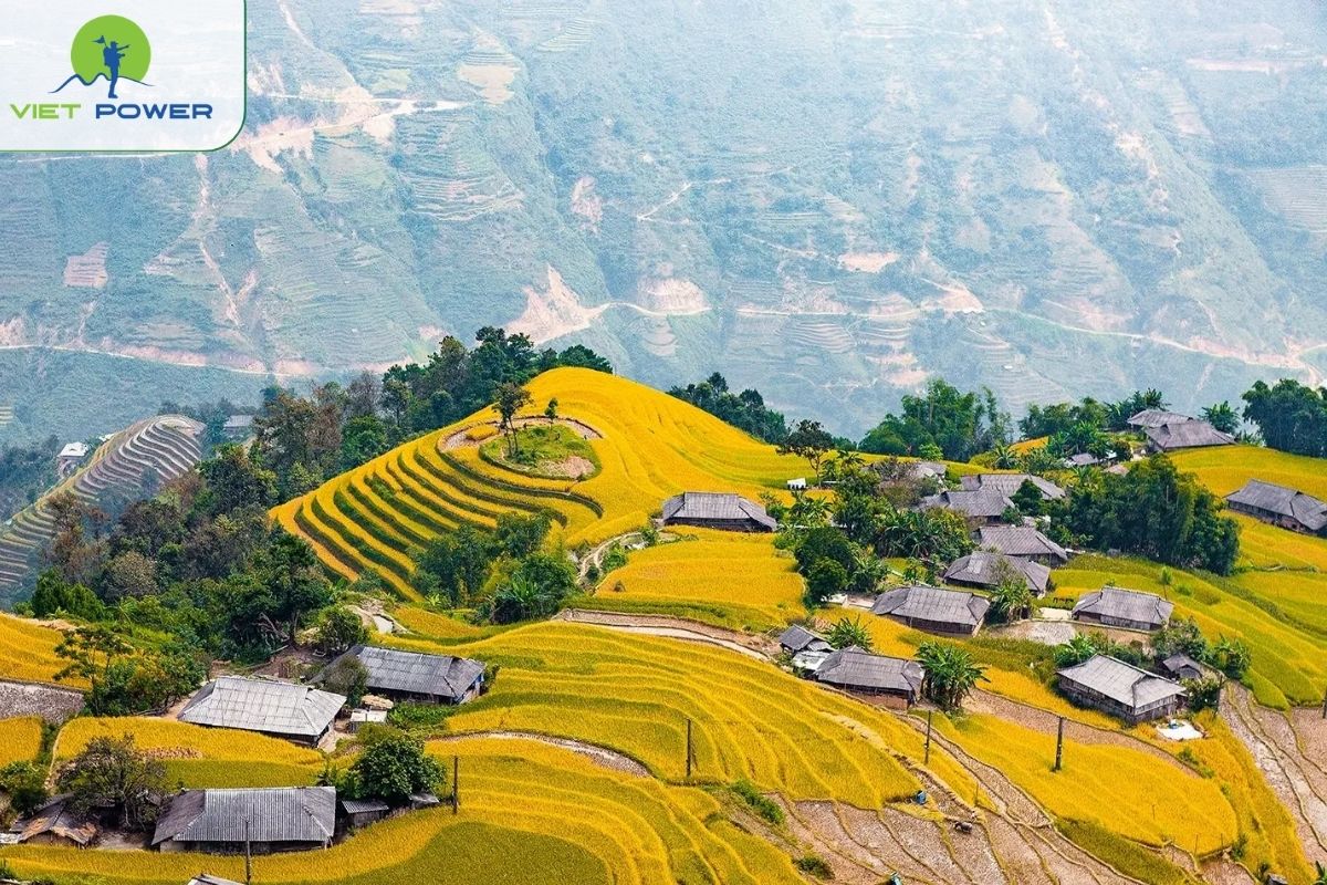 Hoang Su Phi