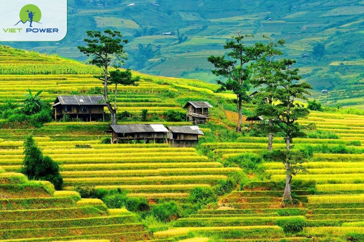 Lim Mong 