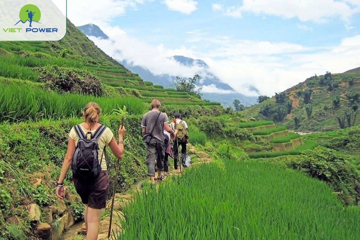 Rice Terrace Trekking