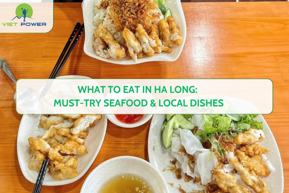 What to Eat in Ha Long: Must-Try Seafood & Local Dishes