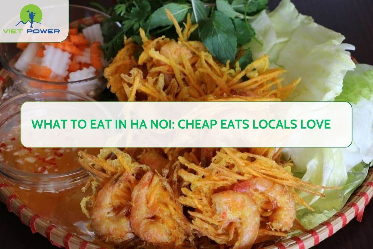 What to Eat in Ha Noi: Cheap Eats Locals Love
