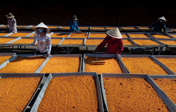 Discovering Southern Vietnam in 3 Days