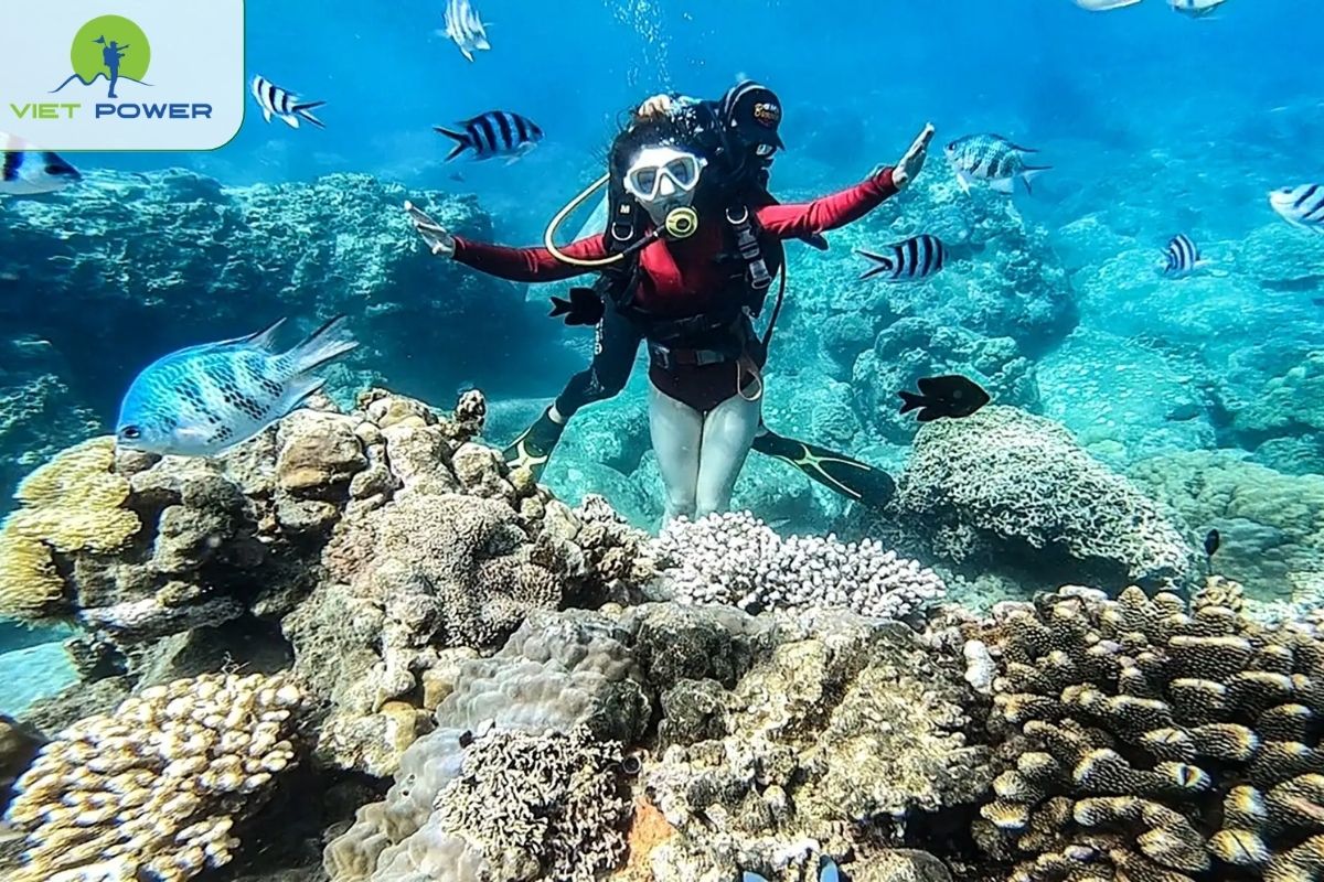 Snorkeling Cham Islands