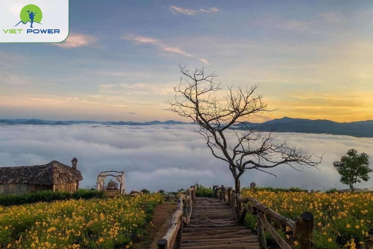 Da Lat in July Weather