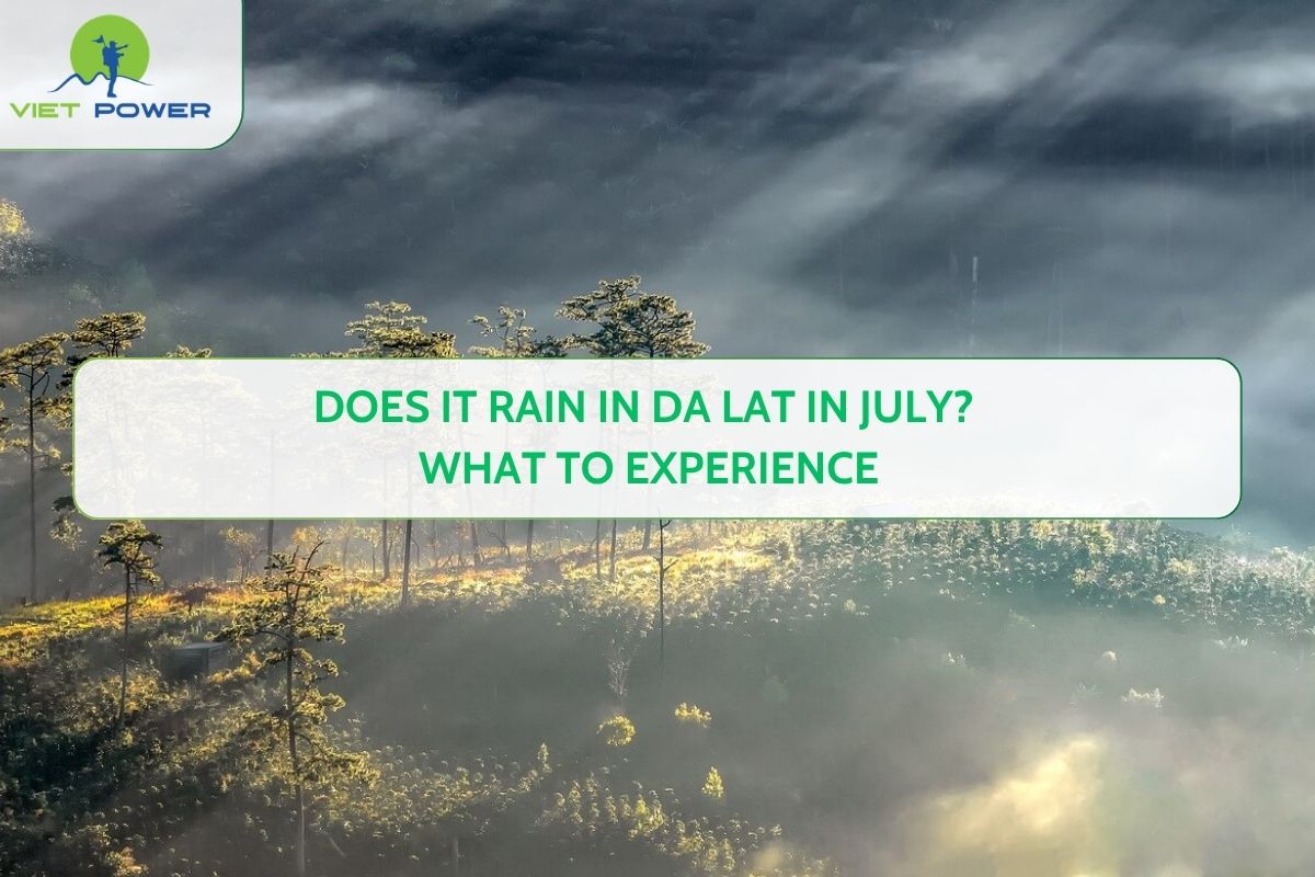 Does It Rain in Da Lat in July? What to Experience