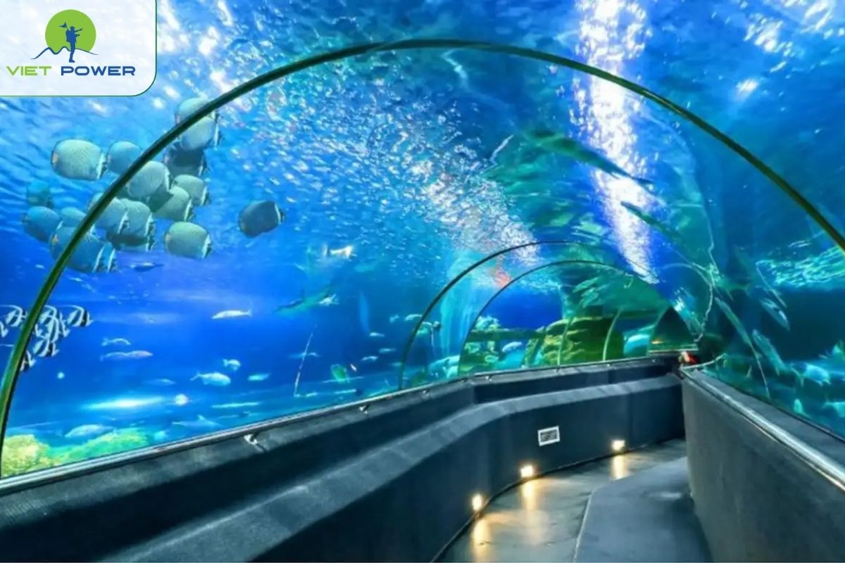 Nha Trang Oceanography Institute