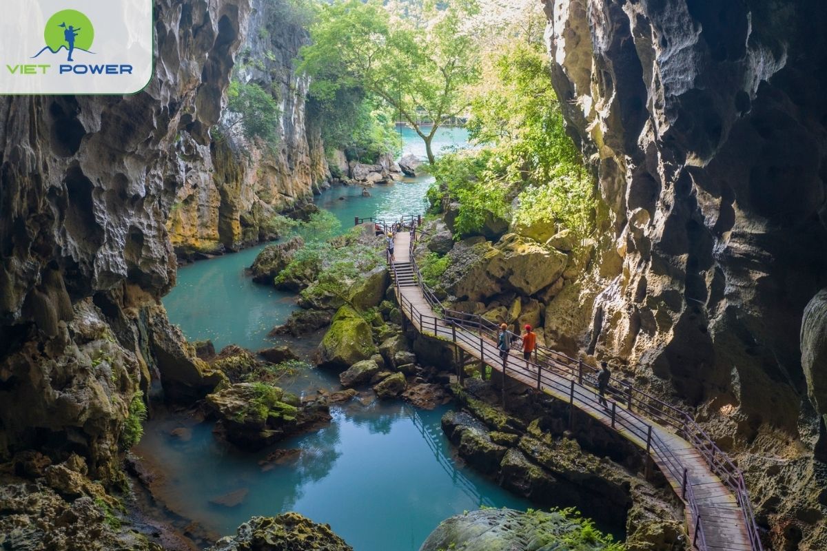Phong Nha Cave 