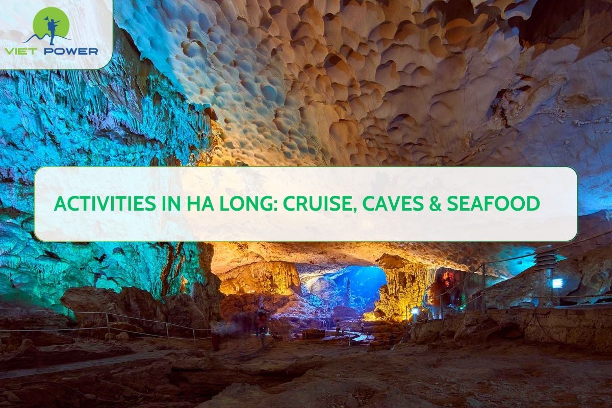 Activities in Ha Long: Cruise, Caves & Seafood
