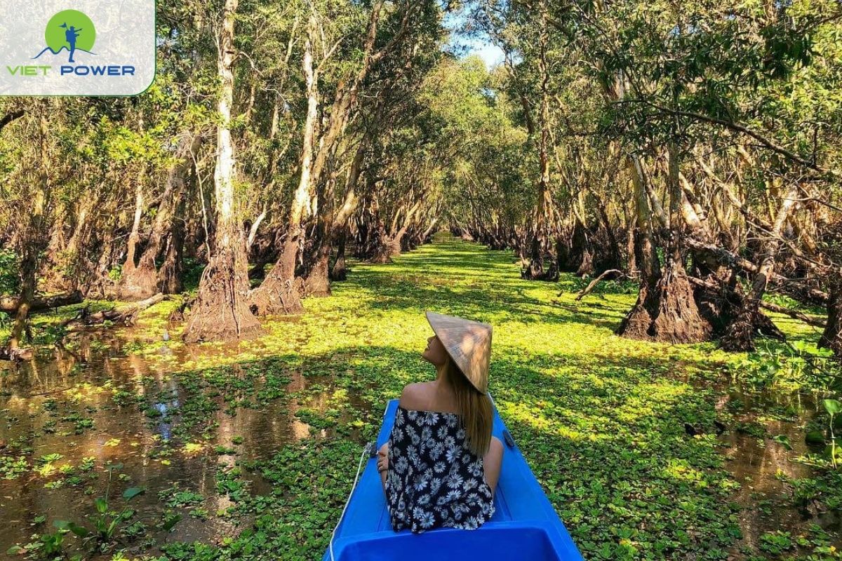 Tra Su Cajuput Forest