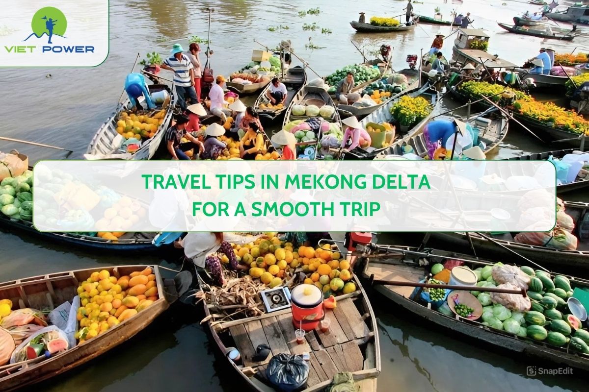 Travel Tips in Mekong Delta for a Smooth Trip